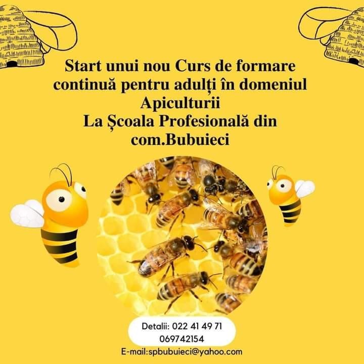 START NOULUI CURS ,, APICULTOR/APICULTOARE,,